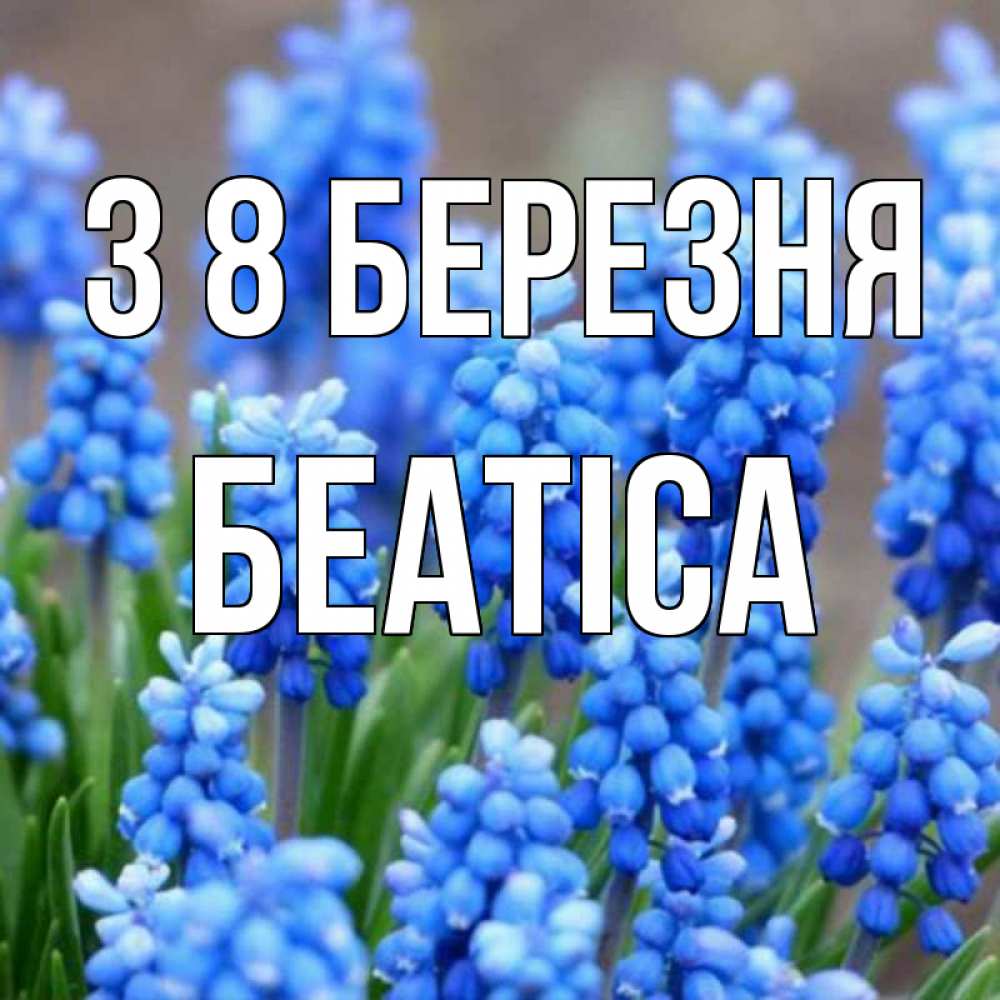 Открытка на каждый день з підписом, Беатіса З 8 БЕРЕЗНЯ Поздравительная открытка для женщин с цветами на праздничную дату Прикольна листівка з побажанням онлайн скачати безкоштовно 
