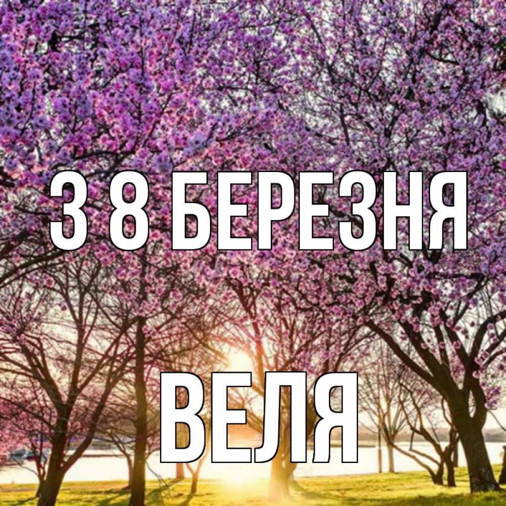 Открытка на каждый день з підписом, Веля З 8 БЕРЕЗНЯ международный женский день Прикольна листівка з побажанням онлайн скачати безкоштовно 