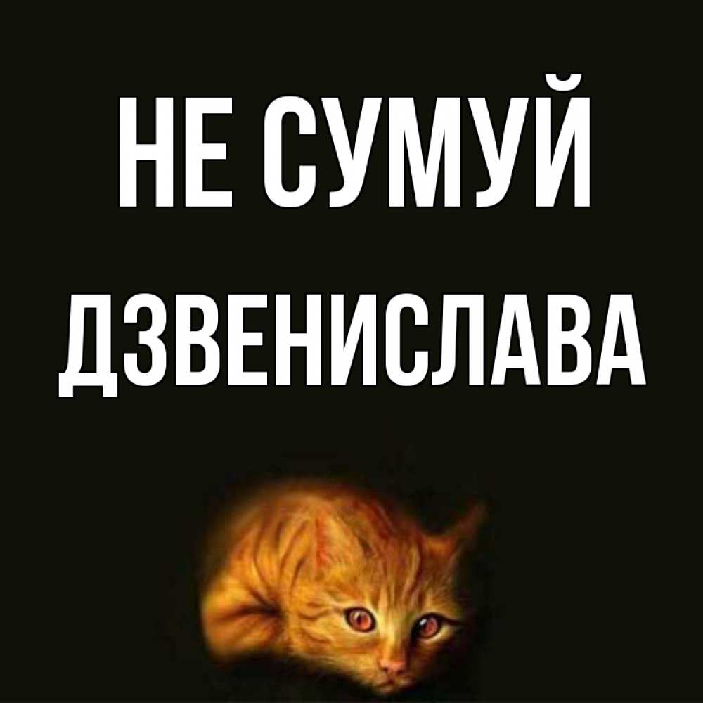 Открытка на каждый день з підписом, Дзвенислава Не сумуй лежащий кот в темноте Прикольна листівка з побажанням онлайн скачати безкоштовно 