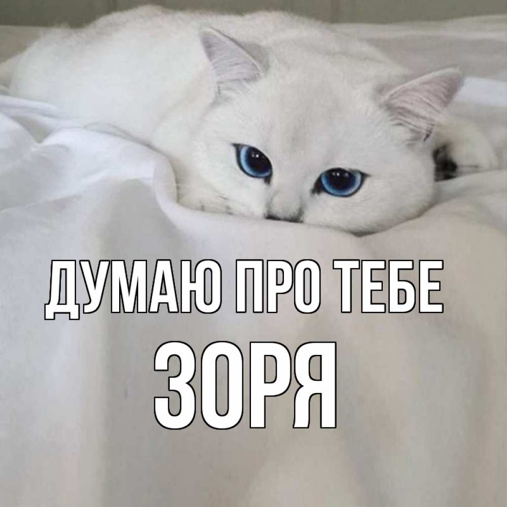 Открытка на каждый день з підписом, Зоря Думаю про тебе я очень по тебе скучаю и тоскую Прикольна листівка з побажанням онлайн скачати безкоштовно 
