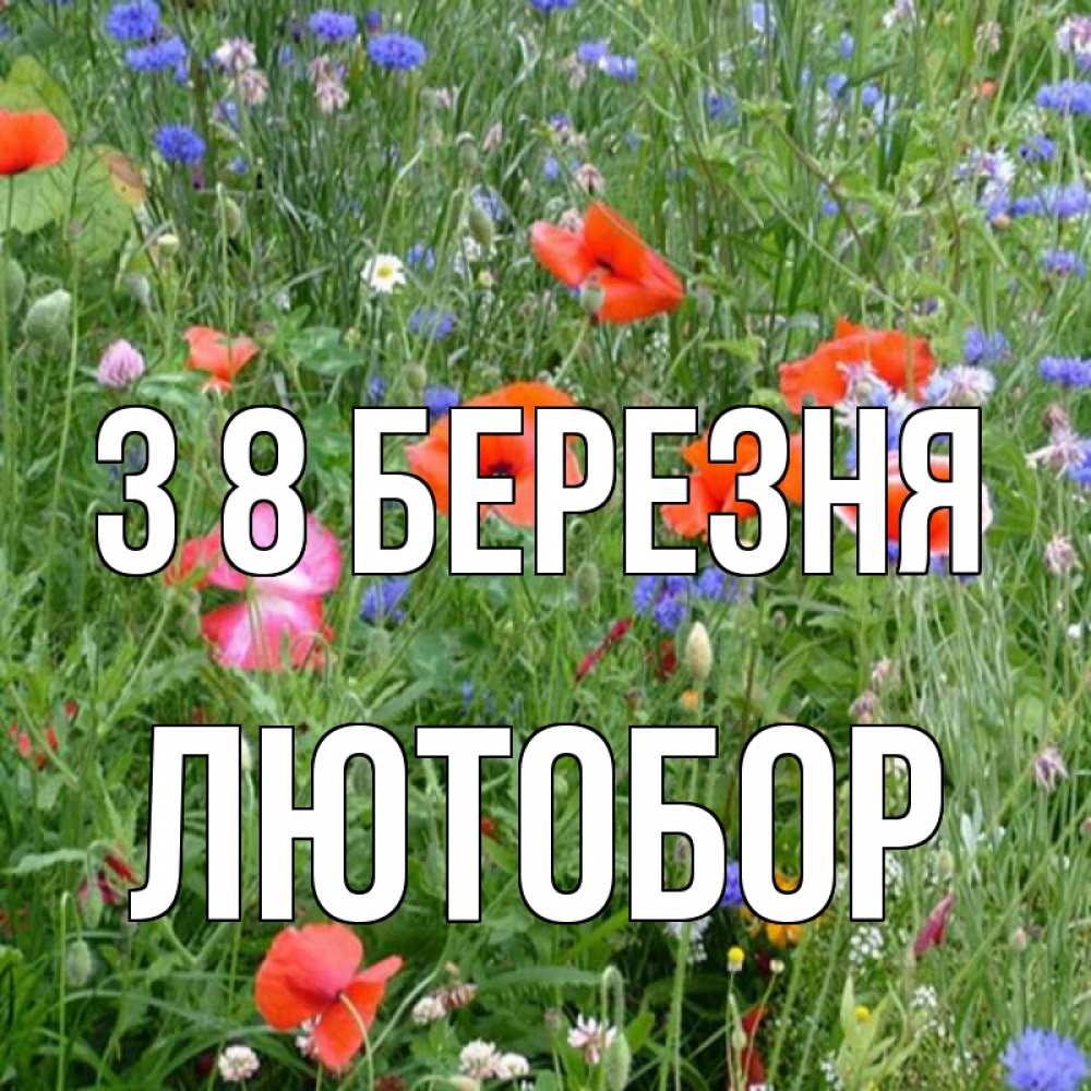 Открытка на каждый день з підписом, Лютобор З 8 БЕРЕЗНЯ международный женский день 4 Прикольна листівка з побажанням онлайн скачати безкоштовно 