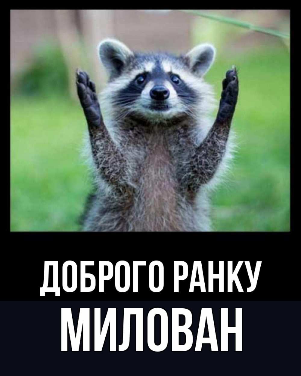 Открытка на каждый день з підписом, Милован Доброго ранку хорошее настроение утречком Прикольна листівка з побажанням онлайн скачати безкоштовно 