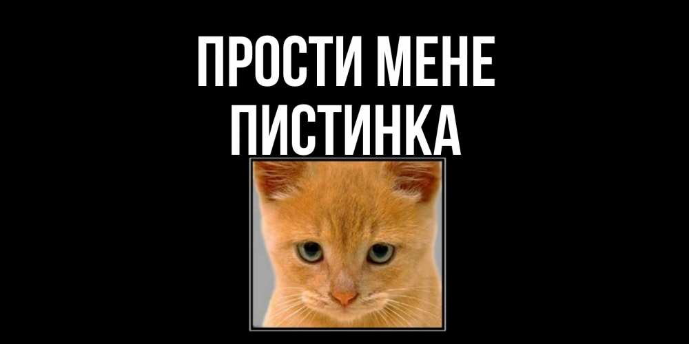 Открытка на каждый день з підписом, Пистинка Прости мене рыжий грустный кот просит прощения Прикольна листівка з побажанням онлайн скачати безкоштовно 