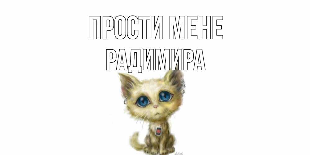 Открытка на каждый день з підписом, Радимира Прости мене прости меня открытка с котиком Прикольна листівка з побажанням онлайн скачати безкоштовно 