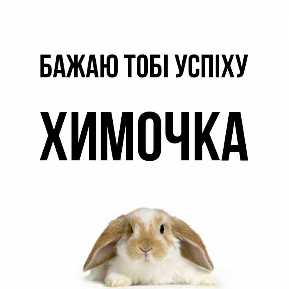 Открытка на каждый день з підписом, Химочка Бажаю тобі успіху открытки с произвольным текстом который можно вставить в открытку и создать ее самостоятельно бесплатно онлайн Прикольна листівка з побажанням онлайн скачати безкоштовно 