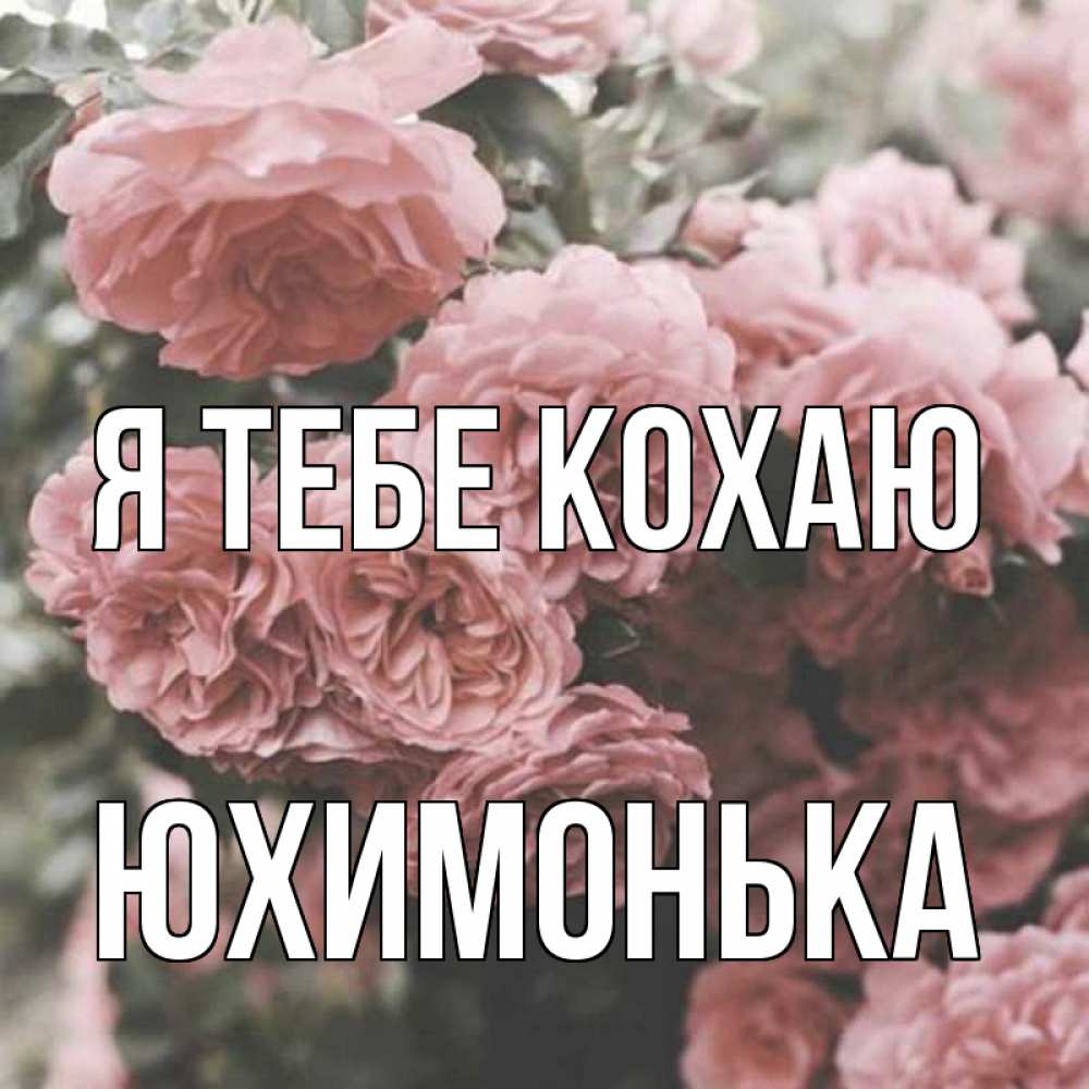 Открытка на каждый день з підписом, Юхимонька Я тебе кохаю розы 3 Прикольна листівка з побажанням онлайн скачати безкоштовно 