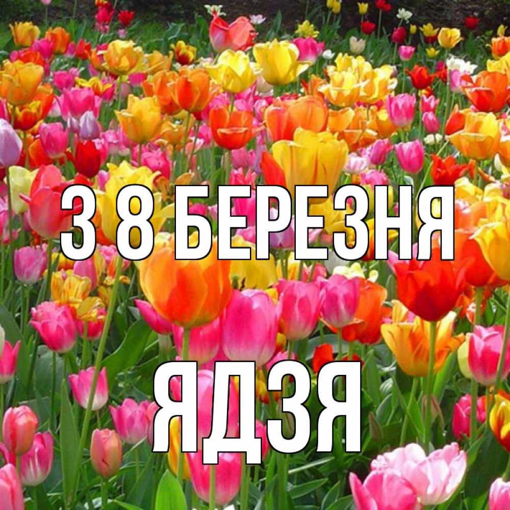 Открытка на каждый день з підписом, Ядзя З 8 БЕРЕЗНЯ на международный женский день Прикольна листівка з побажанням онлайн скачати безкоштовно 