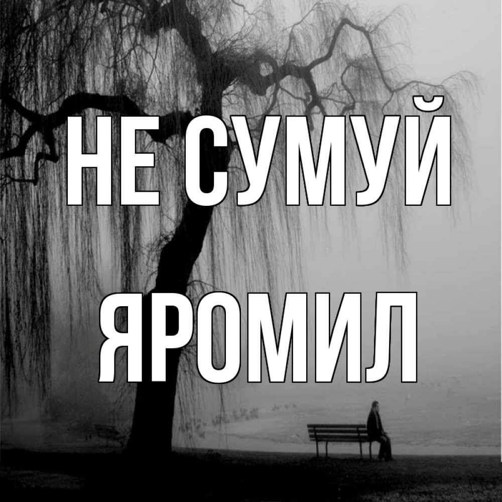 Открытка на каждый день з підписом, Яромил Не сумуй висящие ветки дерева и лавочка под деревом Прикольна листівка з побажанням онлайн скачати безкоштовно 