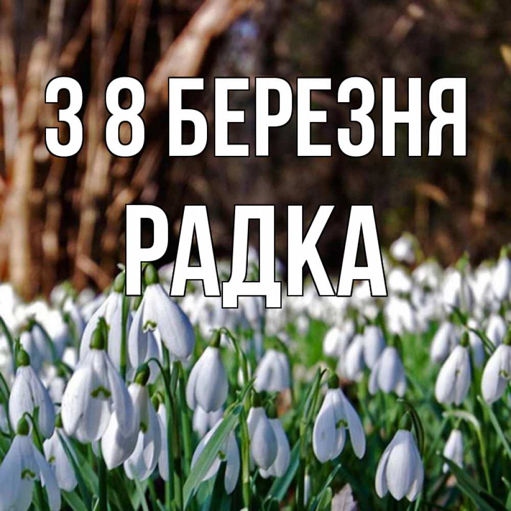 Открытка на каждый день з підписом, Радка З 8 БЕРЕЗНЯ с подснежниками 1 Прикольна листівка з побажанням онлайн скачати безкоштовно 