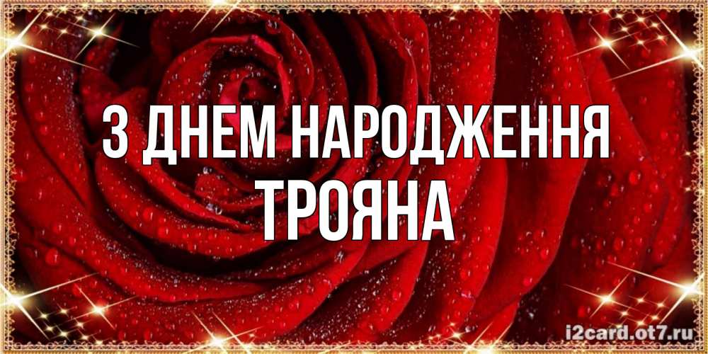 Открытка на каждый день з підписом, Трояна З Днем народження роса на розе блестящая в лучах солнца Прикольна листівка з побажанням онлайн скачати безкоштовно 