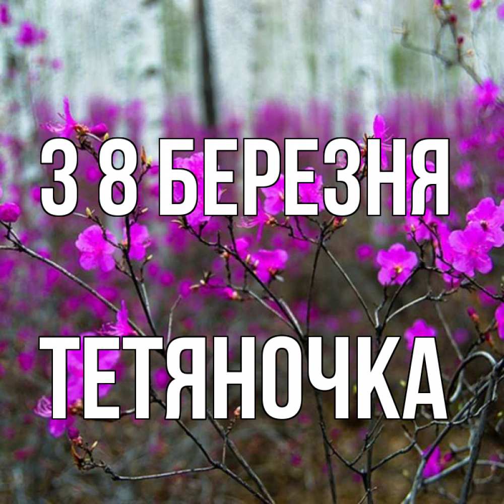 Открытка на каждый день з підписом, Тетяночка З 8 БЕРЕЗНЯ дикие цветы Прикольна листівка з побажанням онлайн скачати безкоштовно 