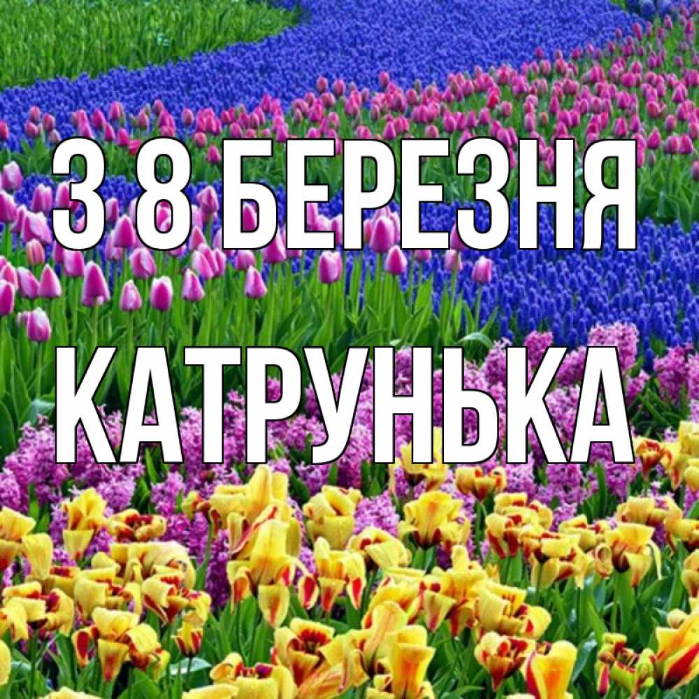 Открытка на каждый день з підписом, Катрунька З 8 БЕРЕЗНЯ цветы Прикольна листівка з побажанням онлайн скачати безкоштовно 