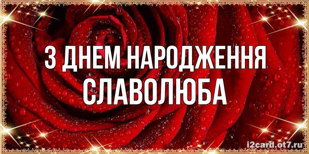 Открытка на каждый день з підписом, Славолюба З Днем народження роса на розе блестящая в лучах солнца Прикольна листівка з побажанням онлайн скачати безкоштовно 