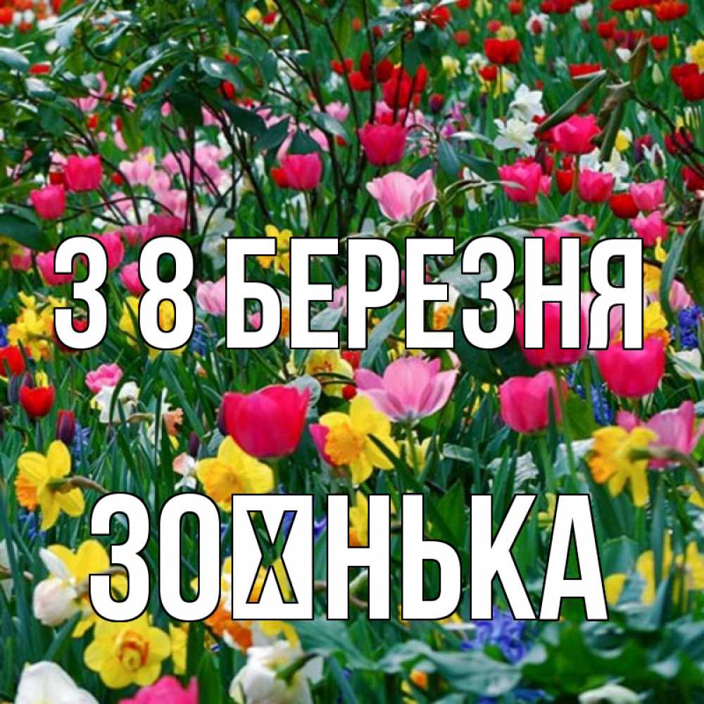 Открытка на каждый день з підписом, Зоєнька З 8 БЕРЕЗНЯ с международным женским днем поздравления для женщины Прикольна листівка з побажанням онлайн скачати безкоштовно 