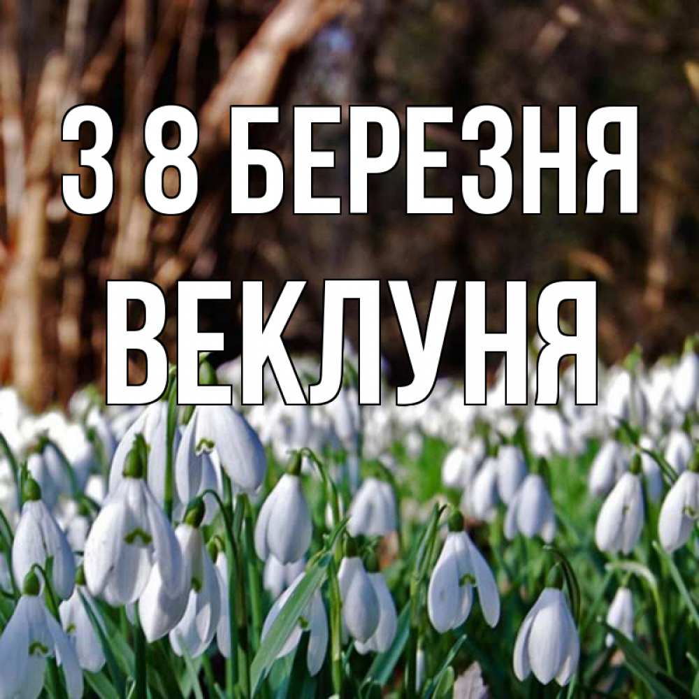 Открытка на каждый день з підписом, Веклуня З 8 БЕРЕЗНЯ с подснежниками 1 Прикольна листівка з побажанням онлайн скачати безкоштовно 