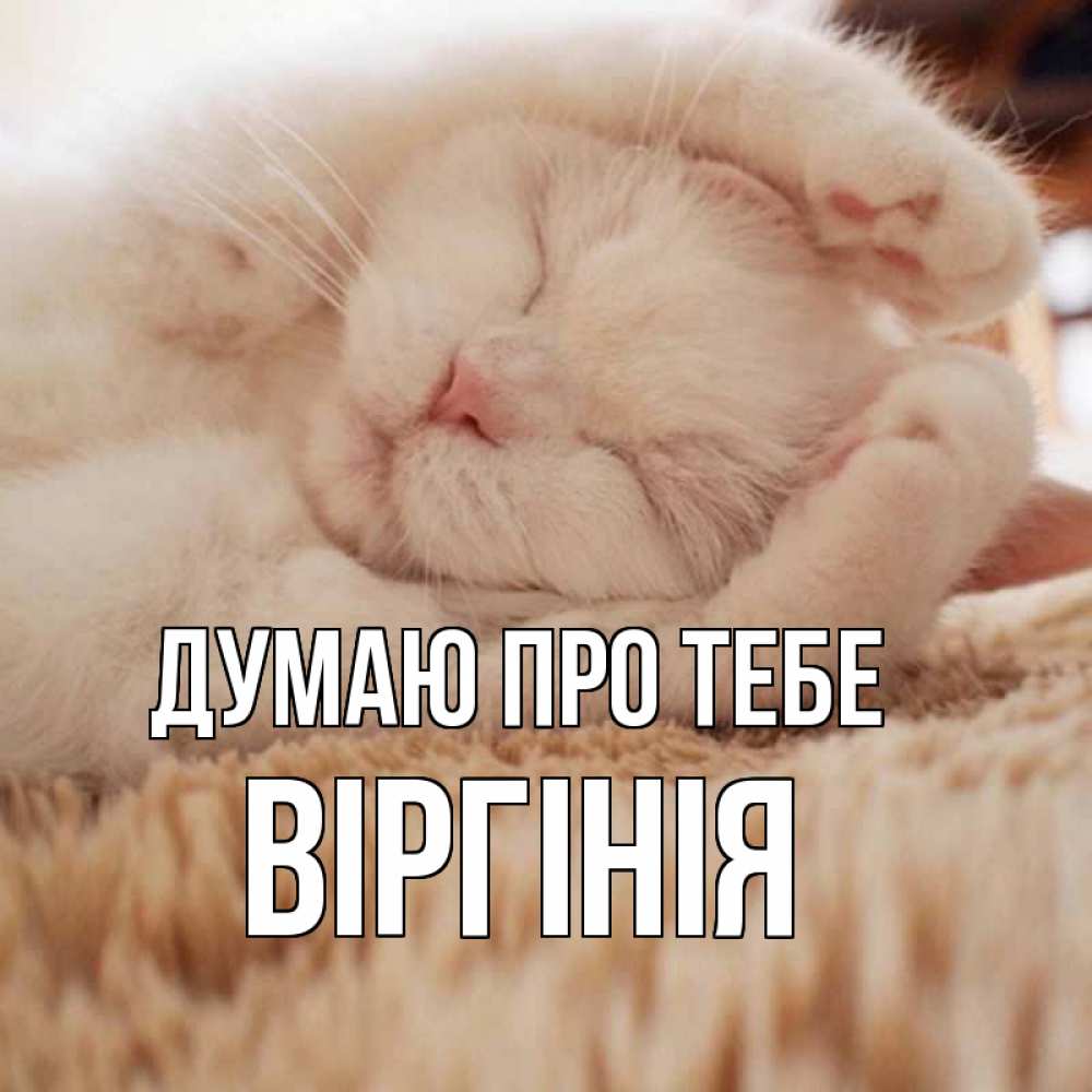 Открытка на каждый день з підписом, Віргінія Думаю про тебе для любимой девушки милота Прикольна листівка з побажанням онлайн скачати безкоштовно 