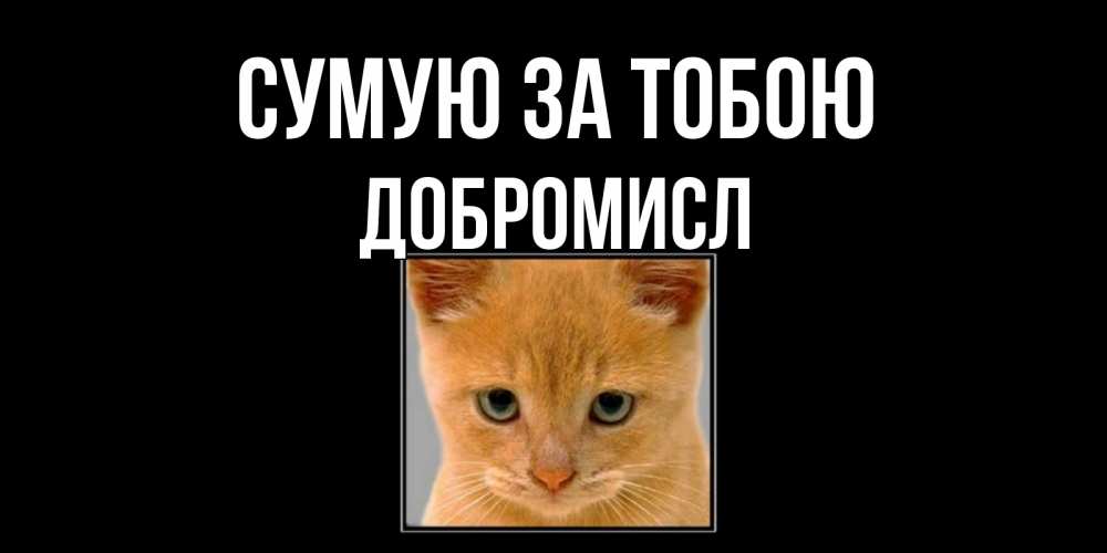 Открытка на каждый день з підписом, Добромисл Сумую за тобою открытки рыжий котенок скучает по тебе Прикольна листівка з побажанням онлайн скачати безкоштовно 