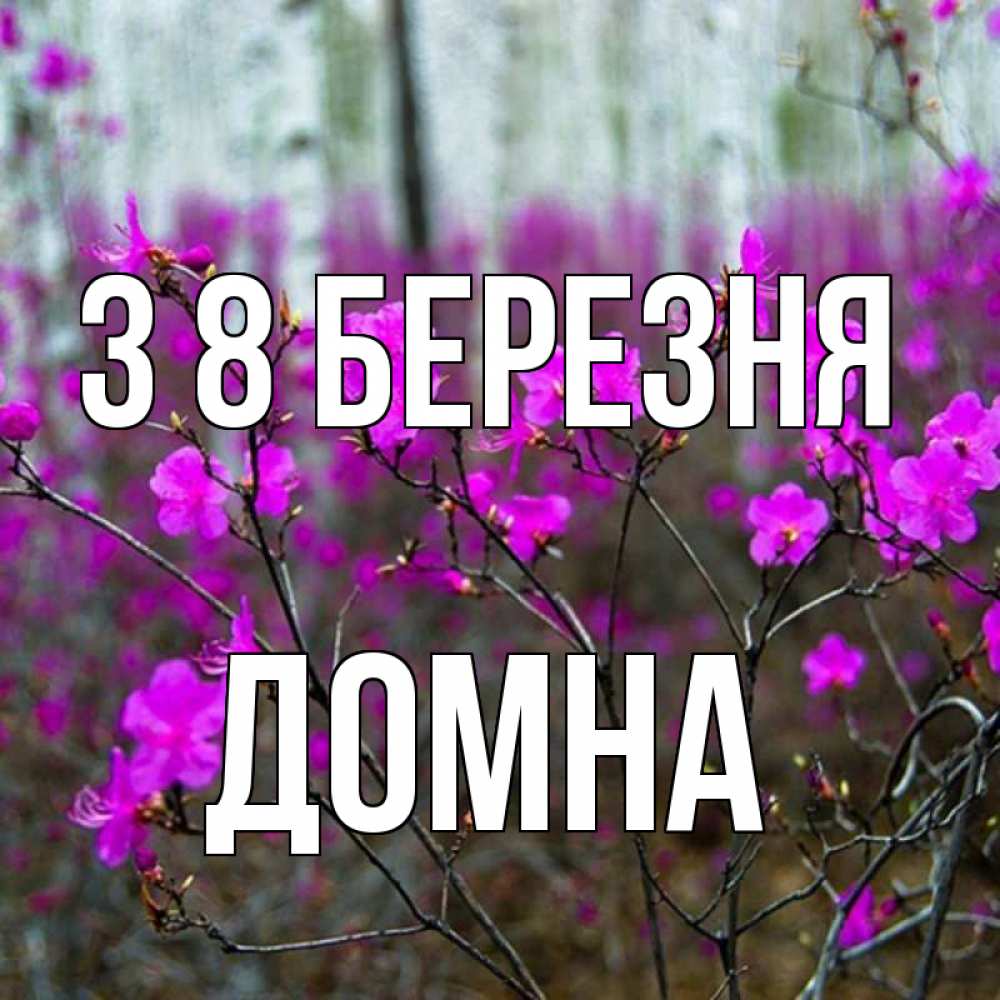 Открытка на каждый день з підписом, Домна З 8 БЕРЕЗНЯ дикие цветы Прикольна листівка з побажанням онлайн скачати безкоштовно 