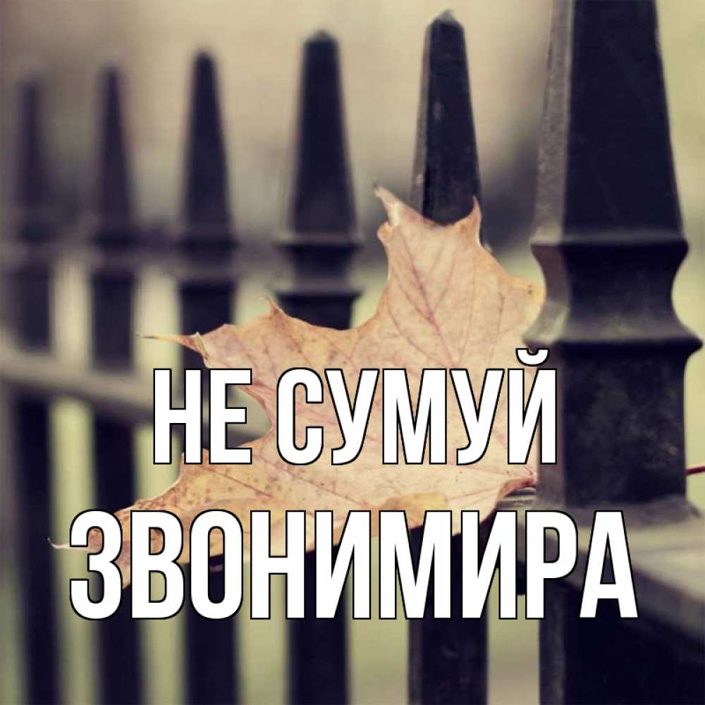 Открытка на каждый день з підписом, Звонимира Не сумуй лист клена Прикольна листівка з побажанням онлайн скачати безкоштовно 