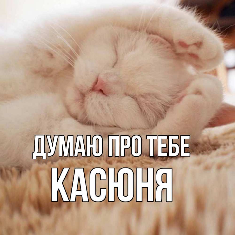 Открытка на каждый день з підписом, Касюня Думаю про тебе для любимой девушки милота Прикольна листівка з побажанням онлайн скачати безкоштовно 