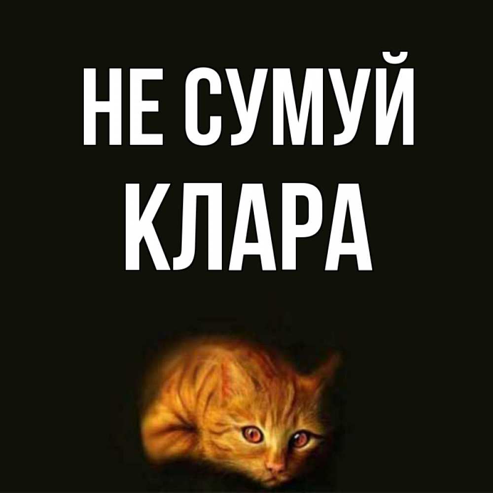 Открытка на каждый день з підписом, Клара Не сумуй лежащий кот в темноте Прикольна листівка з побажанням онлайн скачати безкоштовно 