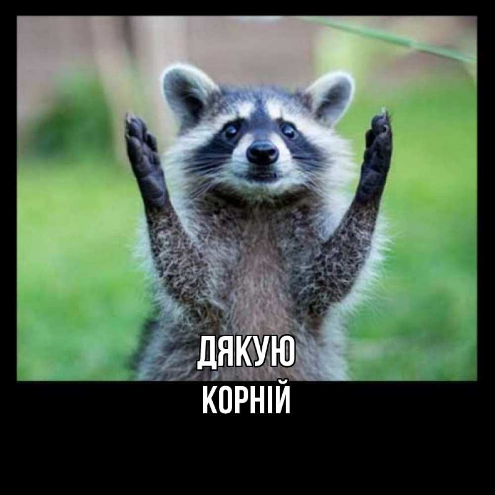 Открытка на каждый день з підписом, Корній Дякую милые животные Прикольна листівка з побажанням онлайн скачати безкоштовно 