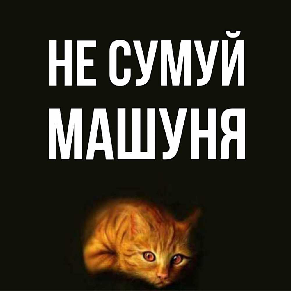 Открытка на каждый день з підписом, Машуня Не сумуй лежащий кот в темноте Прикольна листівка з побажанням онлайн скачати безкоштовно 