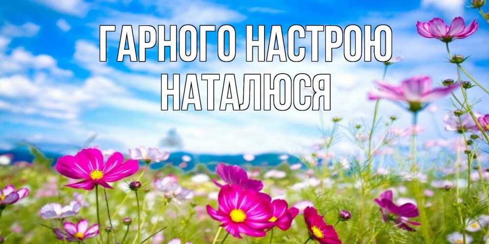 Открытка на каждый день з підписом, Наталюся Гарного настрою поле цветов Прикольна листівка з побажанням онлайн скачати безкоштовно 