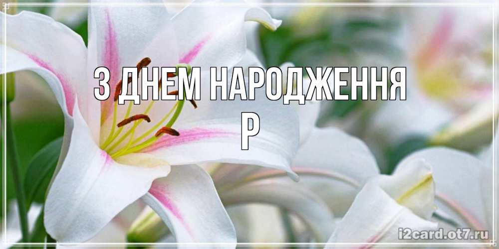 Открытка на каждый день з підписом, Р З Днем народження открытка с белой лилией Прикольна листівка з побажанням онлайн скачати безкоштовно 