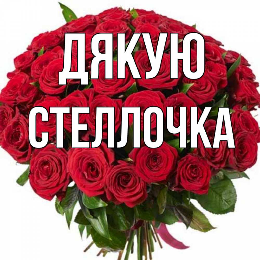 Открытка на каждый день з підписом, Стеллочка Дякую букет красных роз Прикольна листівка з побажанням онлайн скачати безкоштовно 