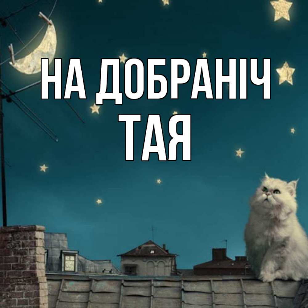 Открытка на каждый день з підписом, Тая На добраніч белый кот сидит на крыше Прикольна листівка з побажанням онлайн скачати безкоштовно 