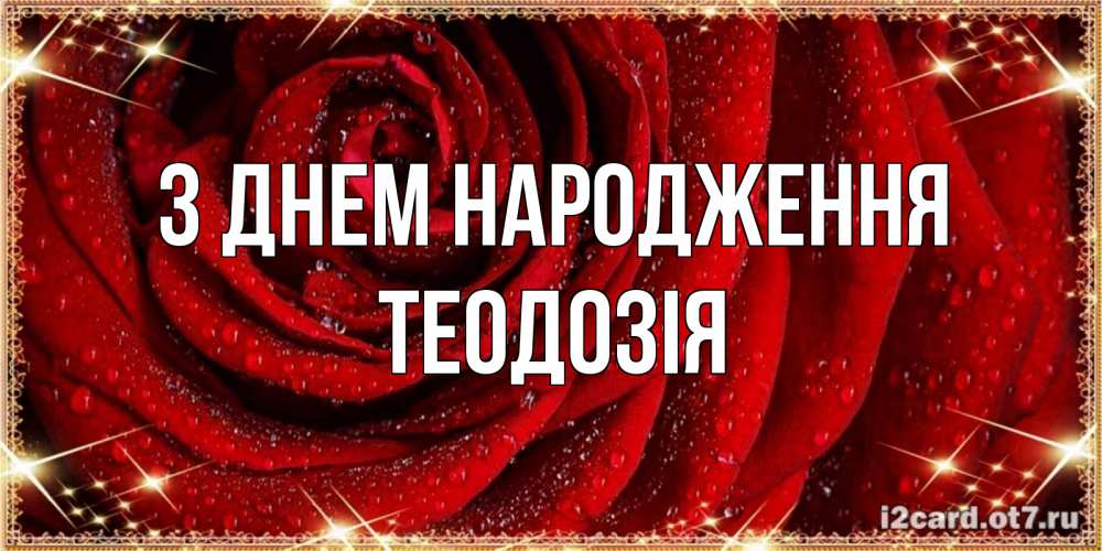 Открытка на каждый день з підписом, Теодозія З Днем народження роса на розе блестящая в лучах солнца Прикольна листівка з побажанням онлайн скачати безкоштовно 