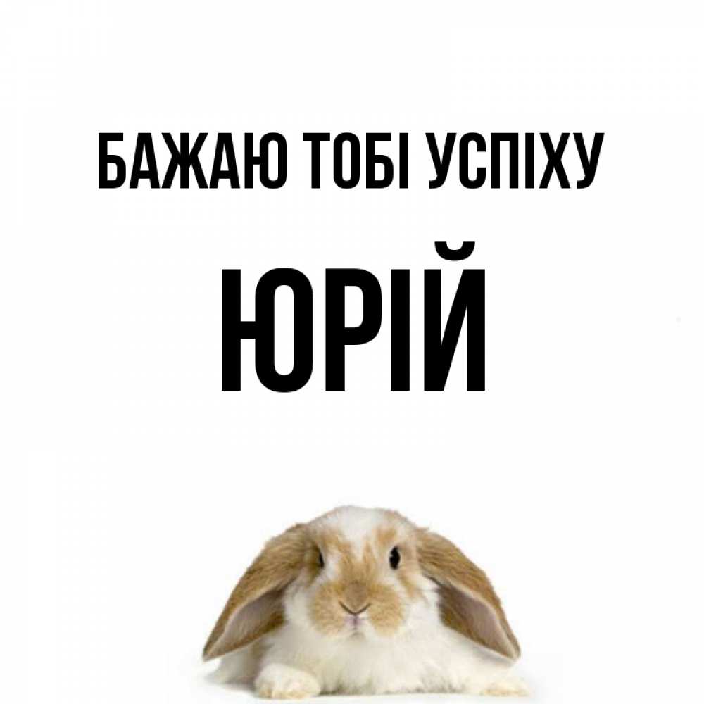 Открытка на каждый день з підписом, Юрій Бажаю тобі успіху открытки с произвольным текстом который можно вставить в открытку и создать ее самостоятельно бесплатно онлайн Прикольна листівка з побажанням онлайн скачати безкоштовно 