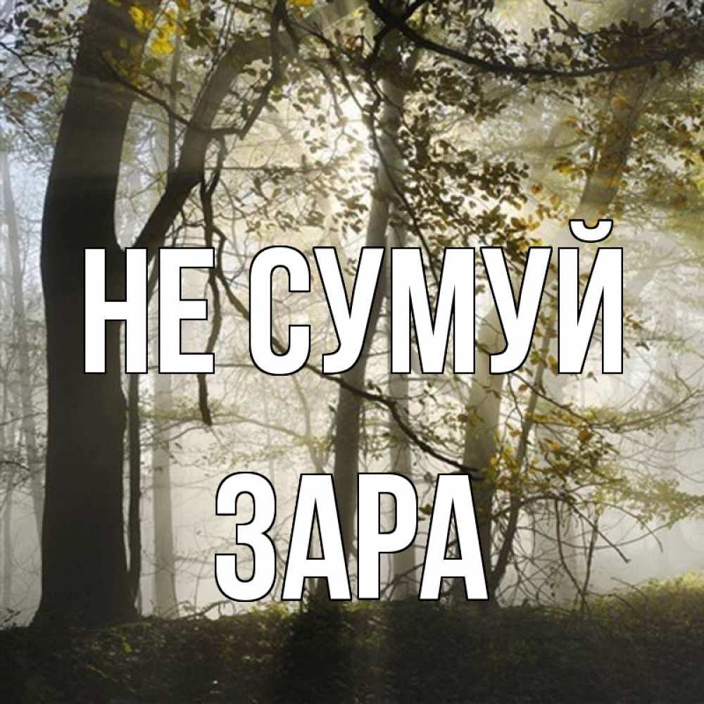 Открытка на каждый день з підписом, Зара Не сумуй лес и свет Прикольна листівка з побажанням онлайн скачати безкоштовно 