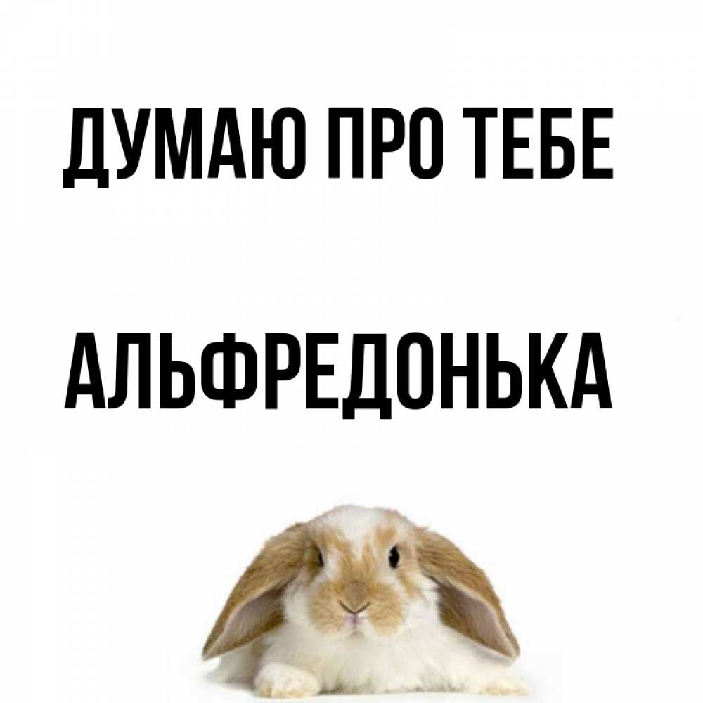 Открытка на каждый день з підписом, Альфредонька Думаю про тебе подписать своими руками онлайн Прикольна листівка з побажанням онлайн скачати безкоштовно 