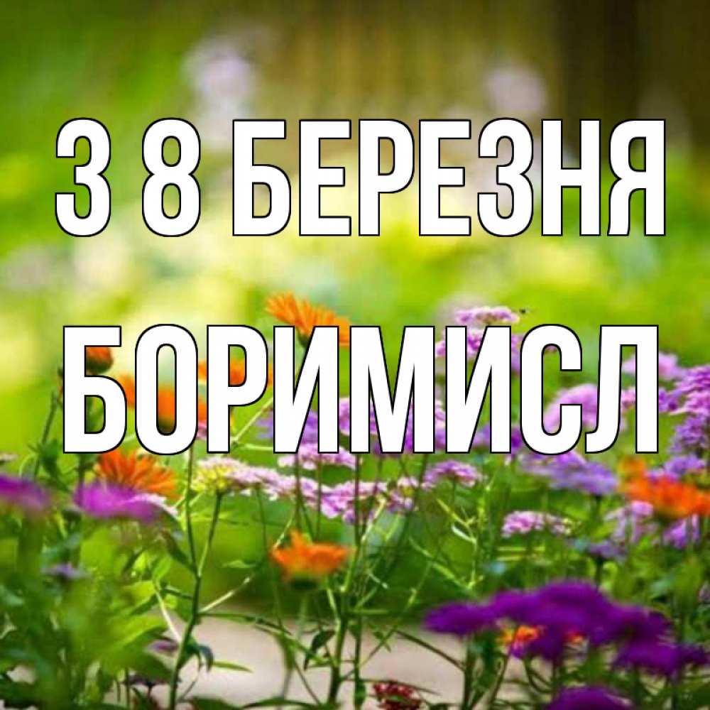 Открытка на каждый день з підписом, Боримисл З 8 БЕРЕЗНЯ цветы Прикольна листівка з побажанням онлайн скачати безкоштовно 