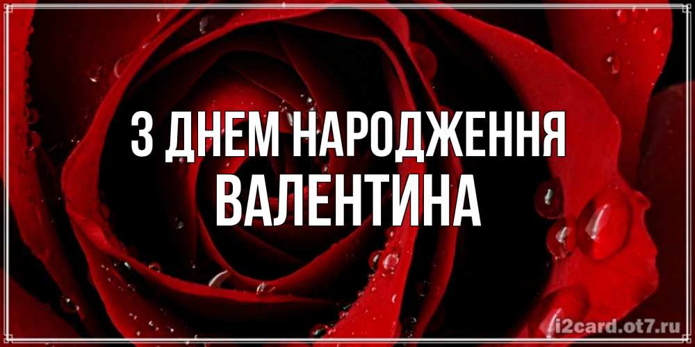 Открытка на каждый день з підписом, Валентина З Днем народження крупная бордовая роза Прикольна листівка з побажанням онлайн скачати безкоштовно 