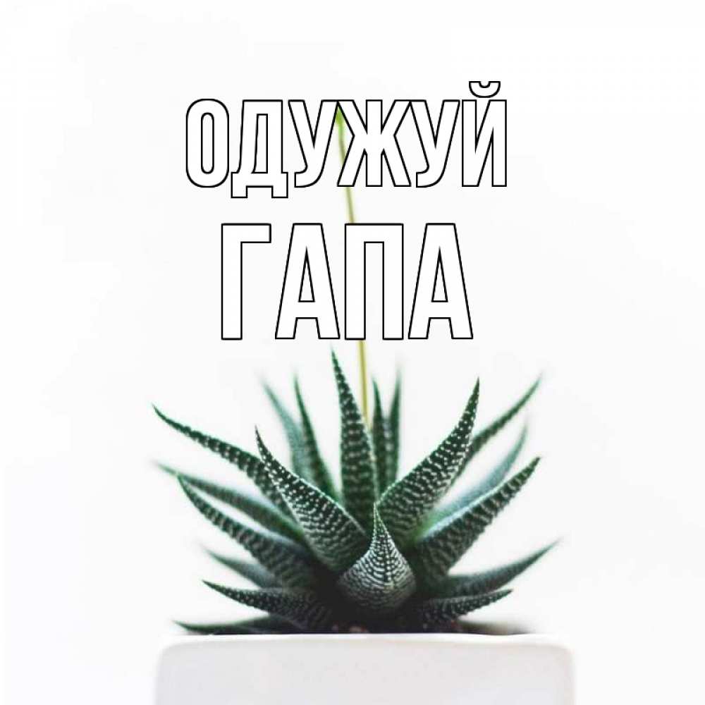 Открытка на каждый день з підписом, Гапа Одужуй короче это непонятная колючка Прикольна листівка з побажанням онлайн скачати безкоштовно 