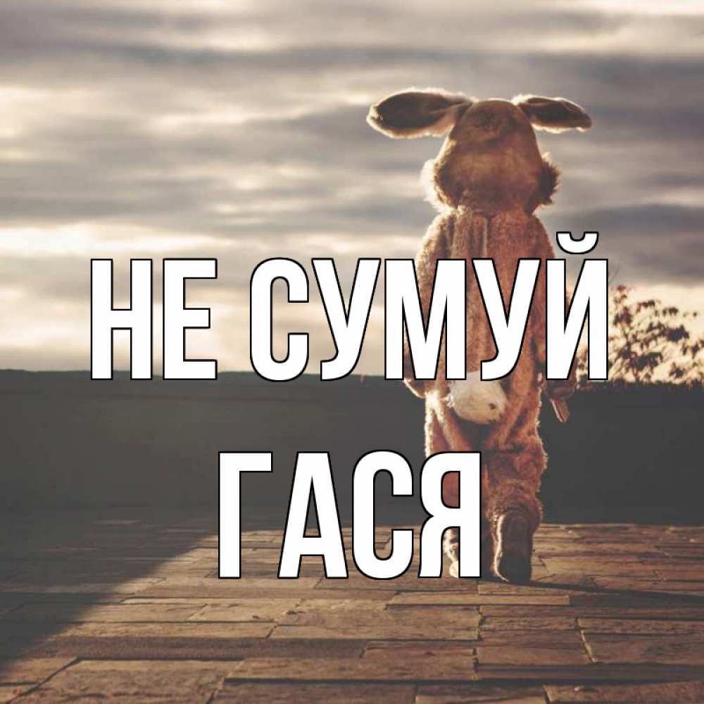 Открытка на каждый день з підписом, Гася Не сумуй со спины Прикольна листівка з побажанням онлайн скачати безкоштовно 