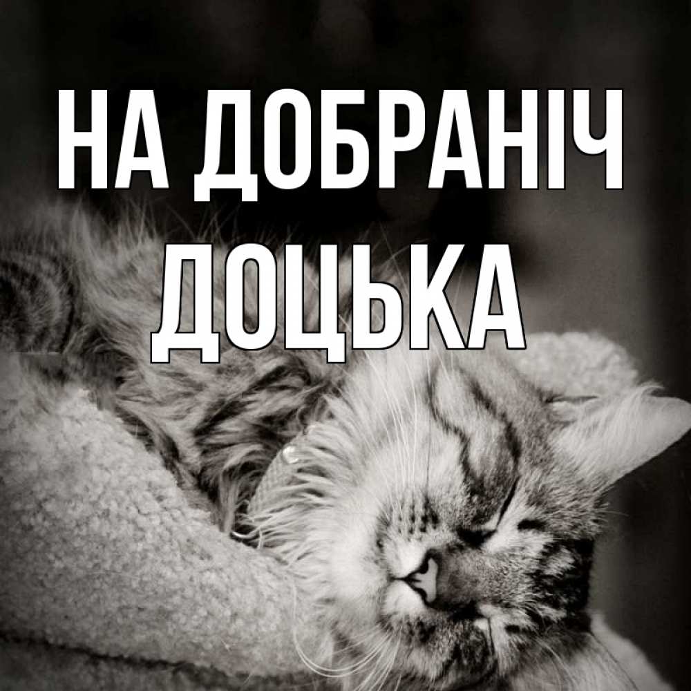 Открытка на каждый день з підписом, Доцька На добраніч котярик пушистый Прикольна листівка з побажанням онлайн скачати безкоштовно 