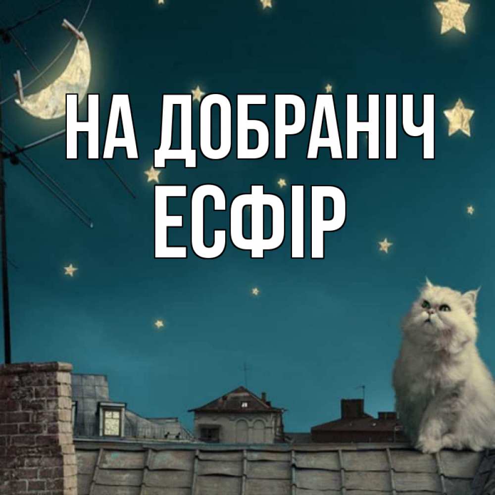 Открытка на каждый день з підписом, Есфір На добраніч белый кот сидит на крыше Прикольна листівка з побажанням онлайн скачати безкоштовно 