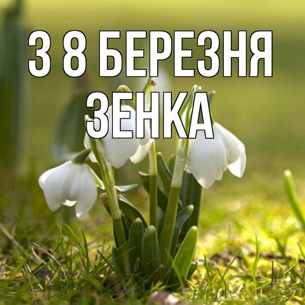Открытка на каждый день з підписом, Зенка З 8 БЕРЕЗНЯ ранние цветы 2 Прикольна листівка з побажанням онлайн скачати безкоштовно 