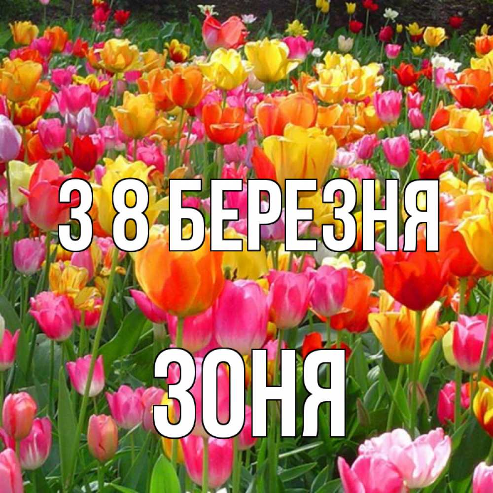 Открытка на каждый день з підписом, Зоня З 8 БЕРЕЗНЯ на международный женский день Прикольна листівка з побажанням онлайн скачати безкоштовно 