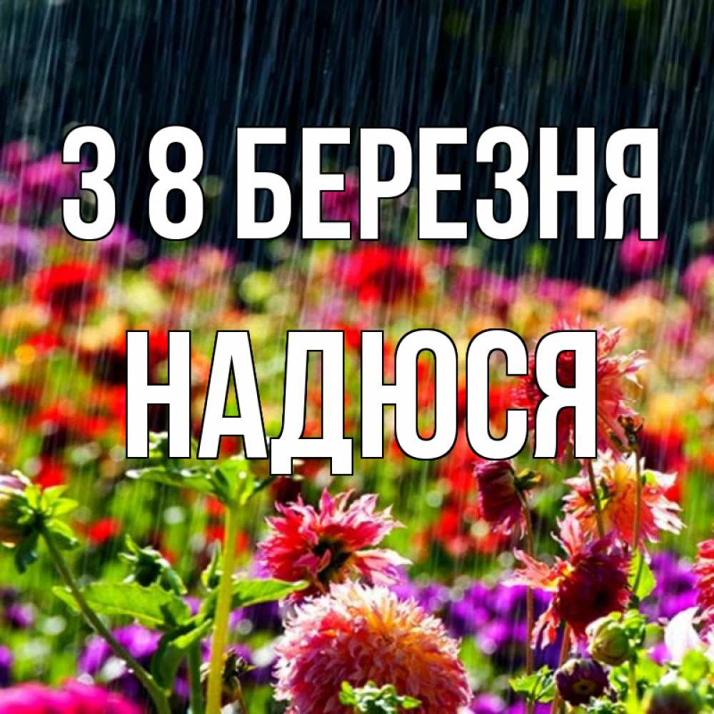 Открытка на каждый день з підписом, Надюся З 8 БЕРЕЗНЯ цветы под дождиком к международному женскому дню Прикольна листівка з побажанням онлайн скачати безкоштовно 
