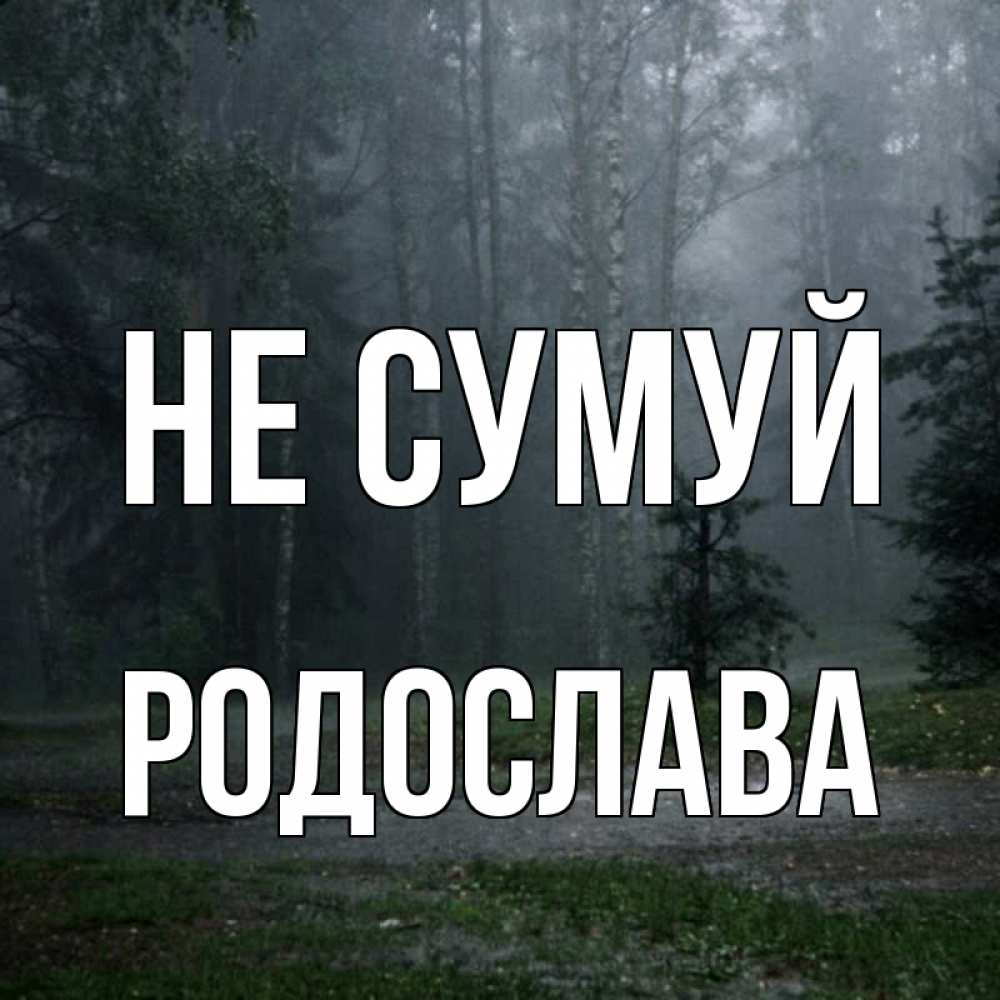 Открытка на каждый день з підписом, Родослава Не сумуй осень Прикольна листівка з побажанням онлайн скачати безкоштовно 