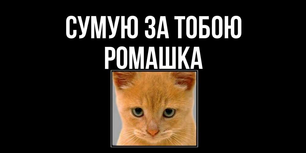 Открытка на каждый день з підписом, Ромашка Сумую за тобою открытки рыжий котенок скучает по тебе Прикольна листівка з побажанням онлайн скачати безкоштовно 