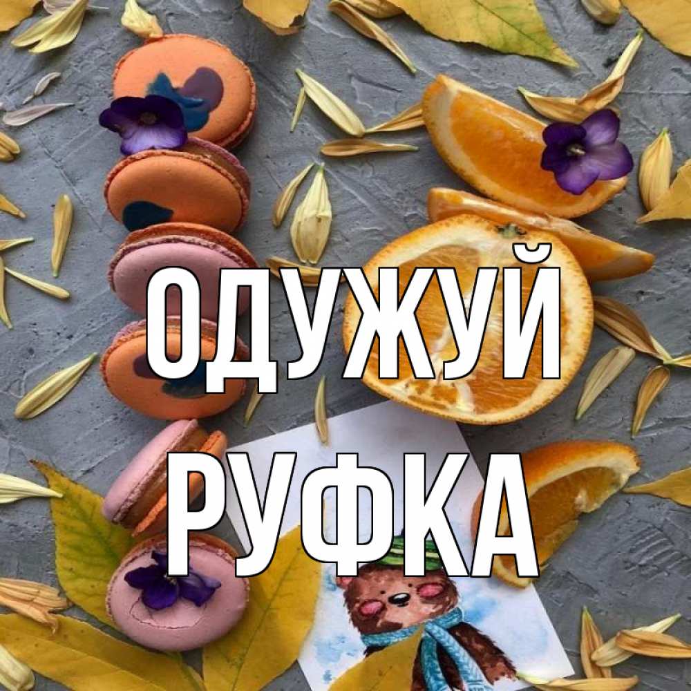 Открытка на каждый день з підписом, Руфка Одужуй не болейте Прикольна листівка з побажанням онлайн скачати безкоштовно 