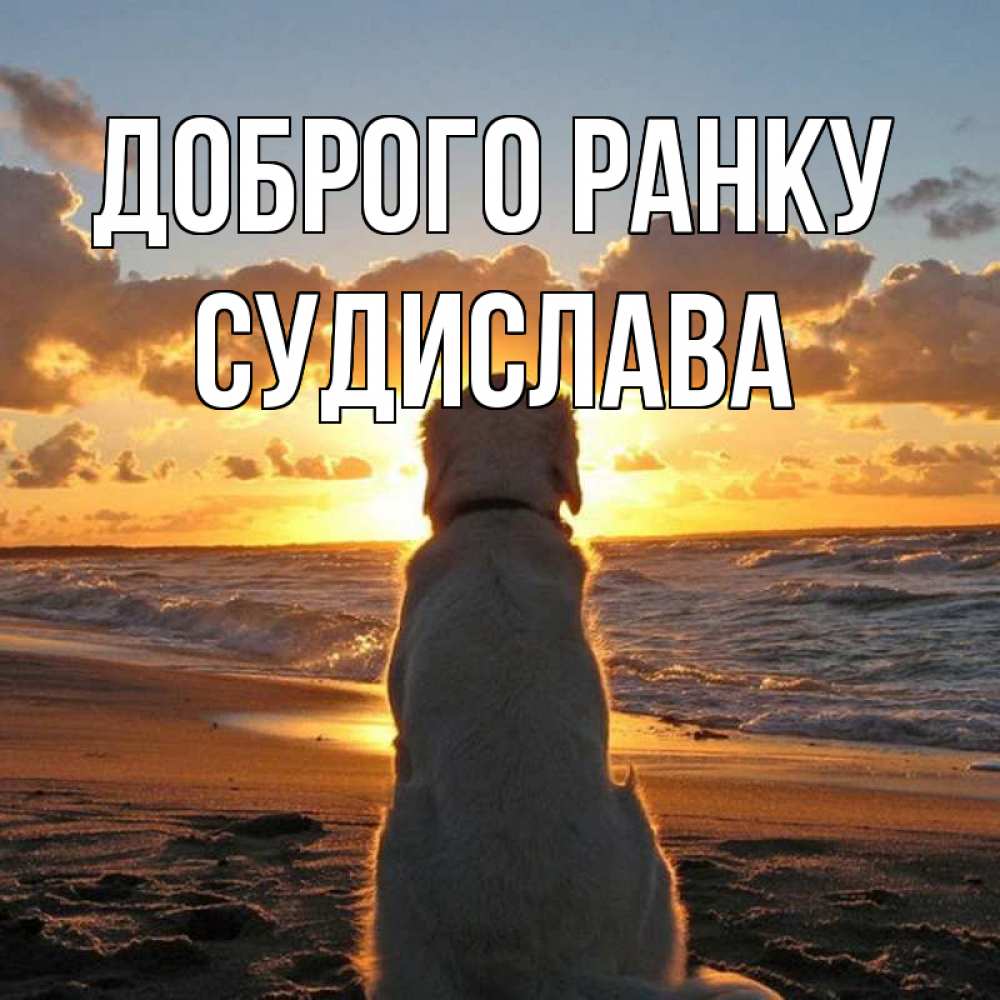 Открытка на каждый день з підписом, Судислава Доброго ранку восход солнца Прикольна листівка з побажанням онлайн скачати безкоштовно 