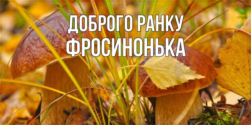 Открытка на каждый день з підписом, Фросинонька Доброго ранку осенние грибы Прикольна листівка з побажанням онлайн скачати безкоштовно 