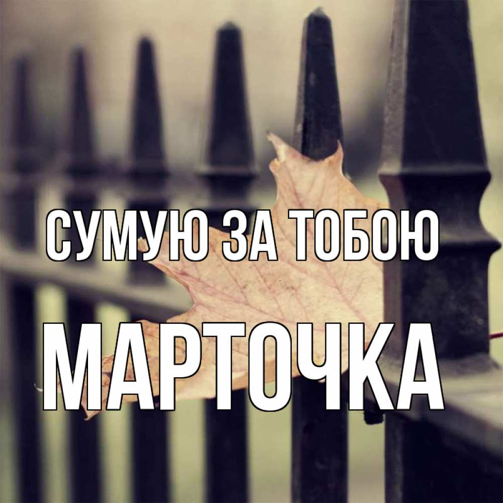Открытка на каждый день з підписом, Марточка Сумую за тобою очень скучно Прикольна листівка з побажанням онлайн скачати безкоштовно 